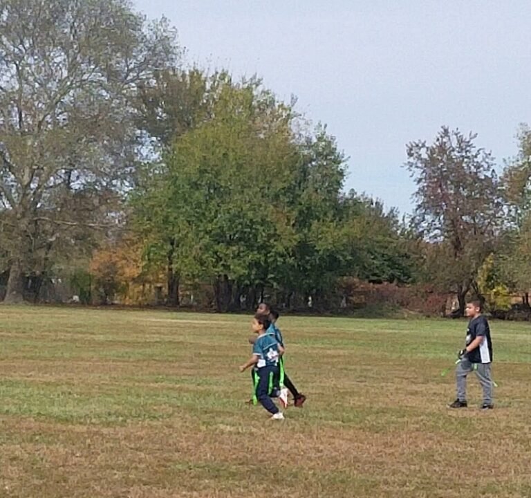 Soccer Field image 4