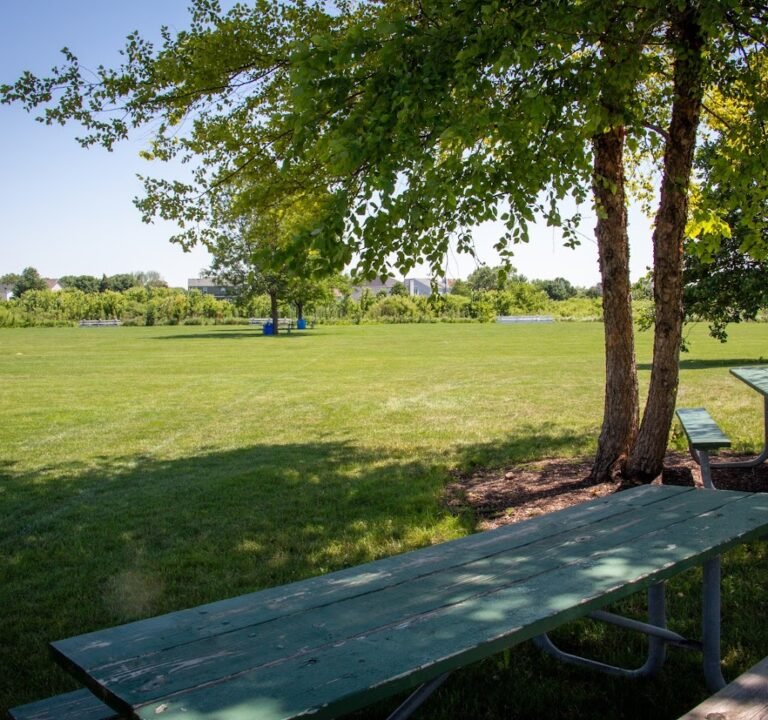 Soccer Field image 3