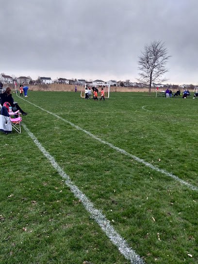 Soccer Field image 1