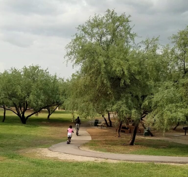 Soccer Field image 4