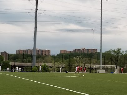 Soccer Field image 1