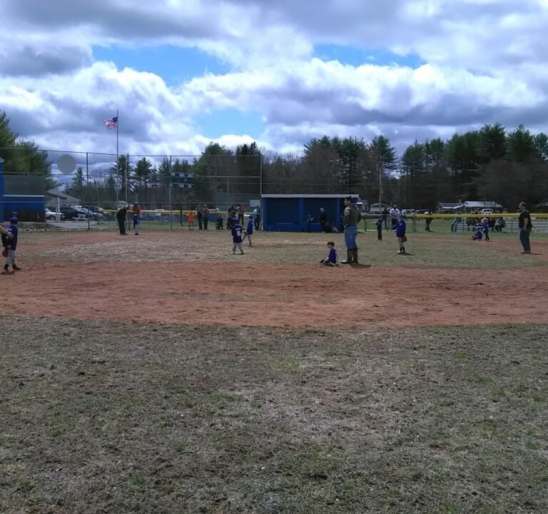 Soccer Field image 2