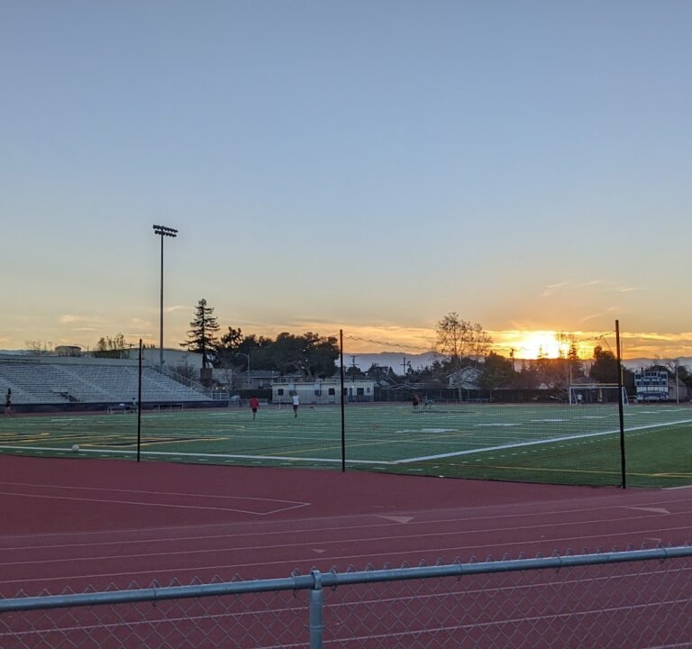Soccer Field image 2