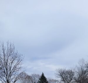 Soccer Field image 2