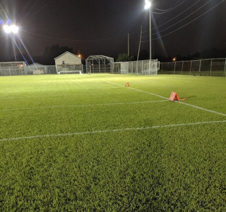 Soccer Field image 2