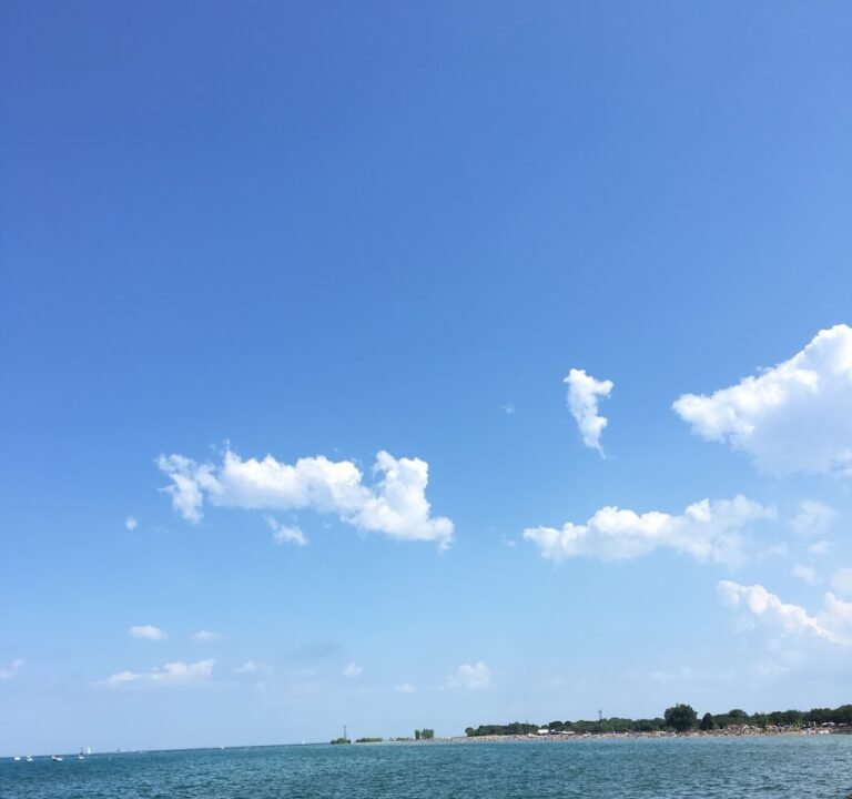 Soccer Field image 3