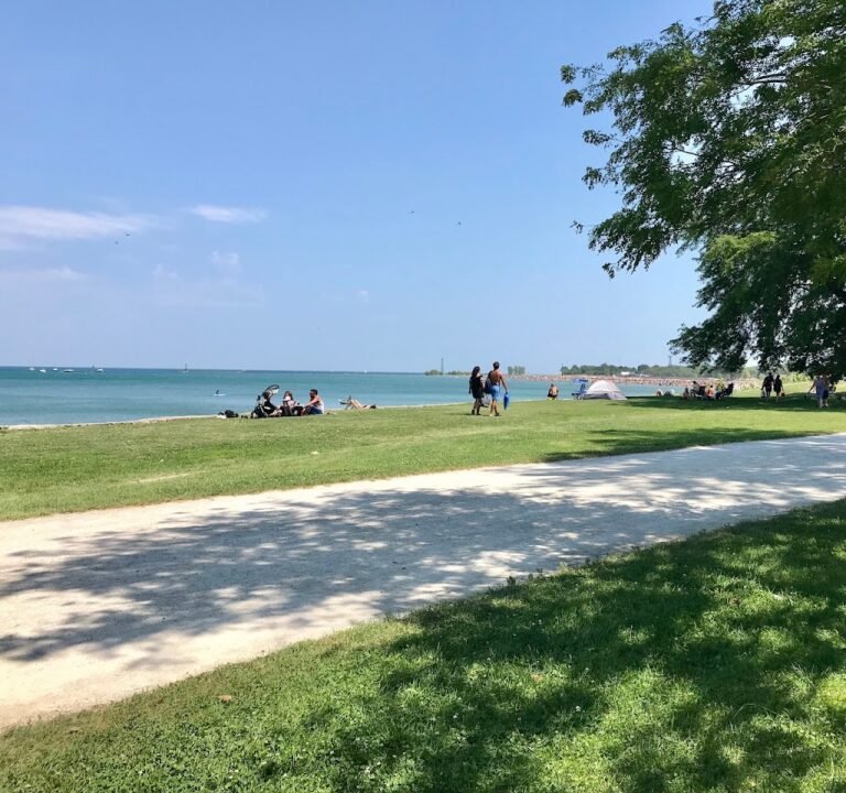 Soccer Field image 2