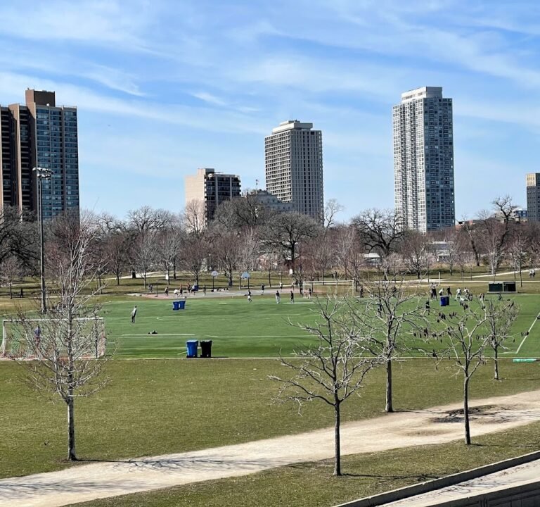Soccer Field image 3