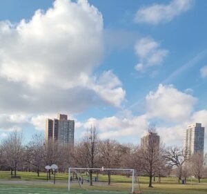 Soccer Field image 4