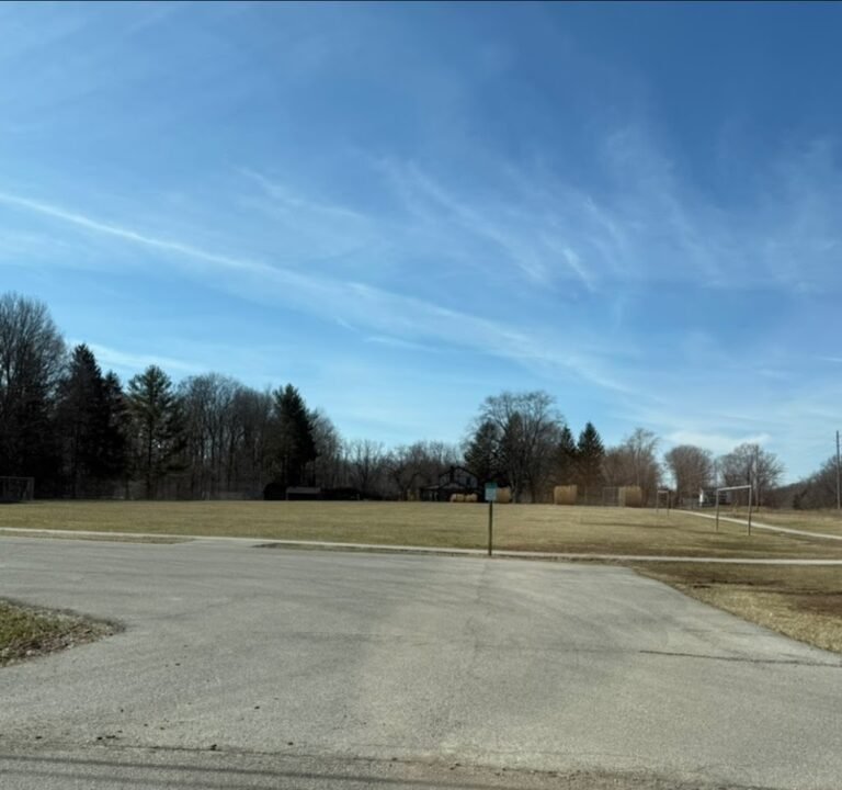 Soccer Field image 3