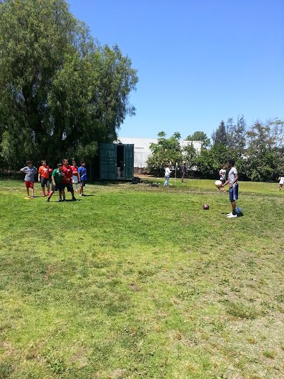 Soccer Field image 1