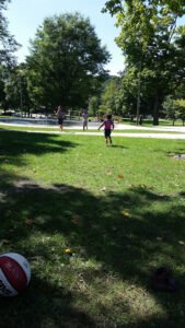 Soccer Field image 1