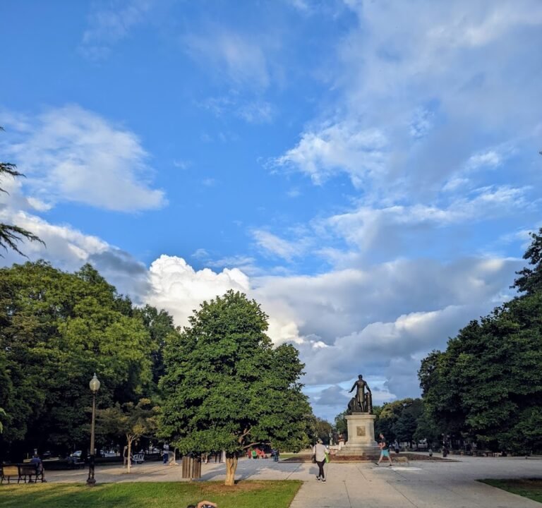 Soccer Field image 2