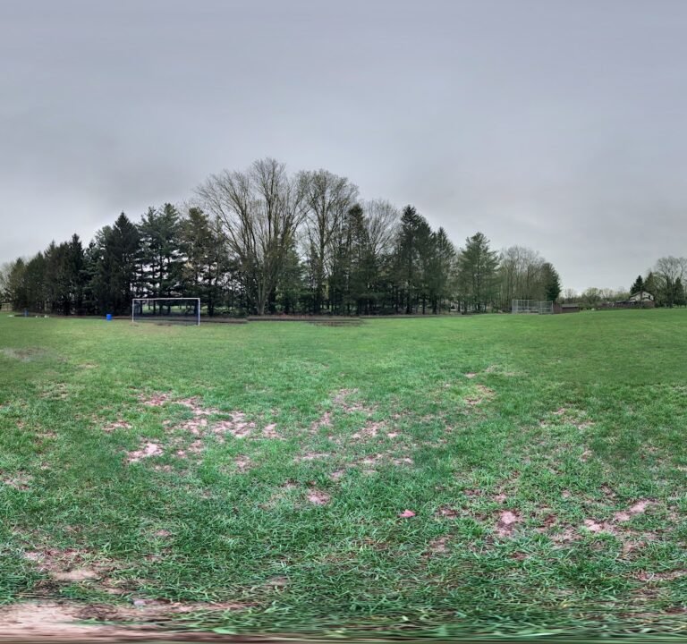 Soccer Field image 2