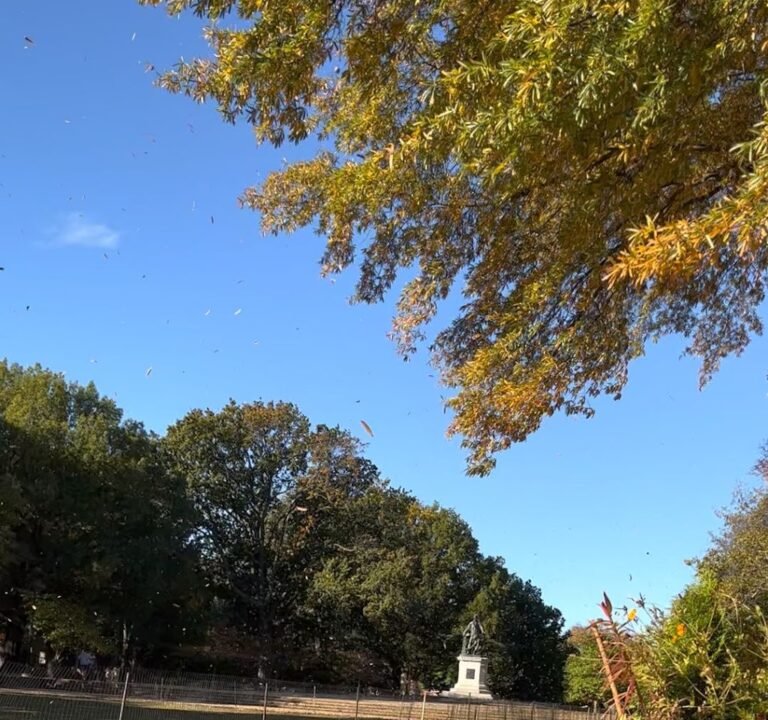 Soccer Field image 4