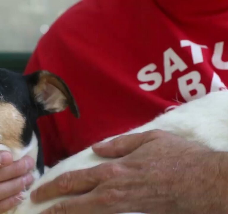 Soccer Field image 4