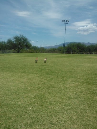 Soccer Field image 1