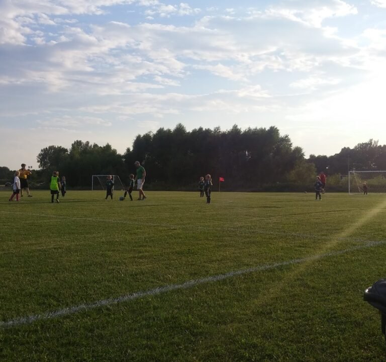 Soccer Field image 2