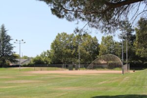 Soccer Field image 1
