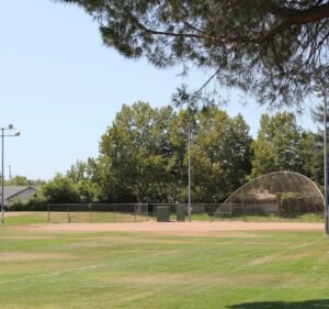 Soccer Field image 2