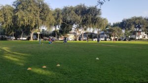 Soccer Field image 1