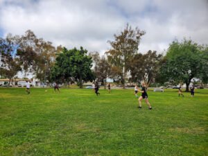 Soccer Field image 1