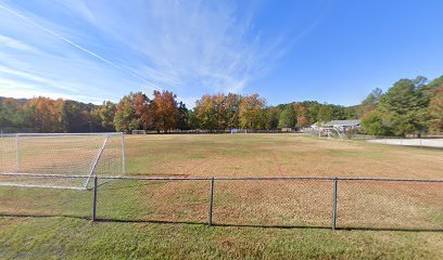 Soccer Field image 1