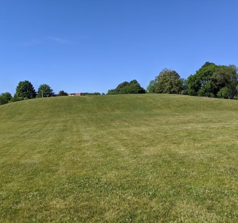 Soccer Field image 3