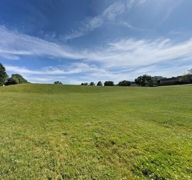 Soccer Field image 2