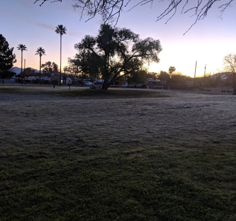 Soccer Field image 3