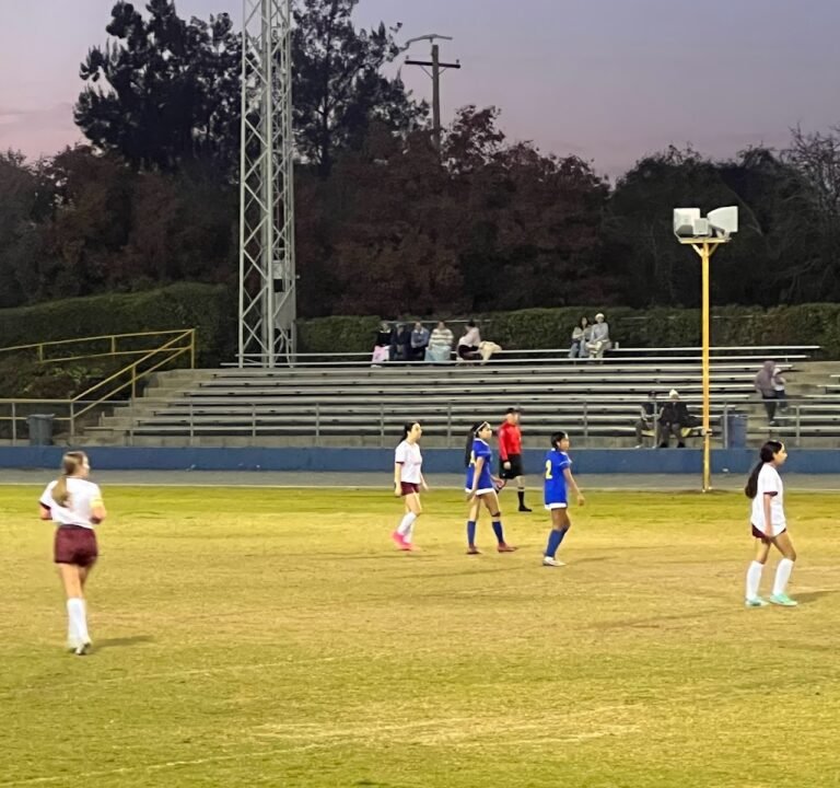 Soccer Field image 2