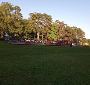 Soccer Field image 2