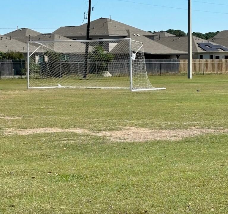 Soccer Field image 2