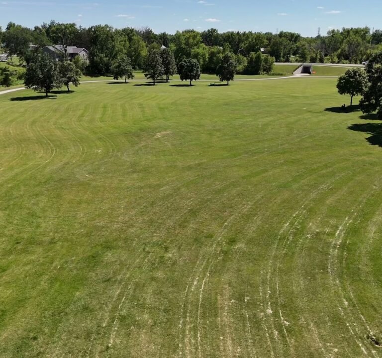 Soccer Field image 3