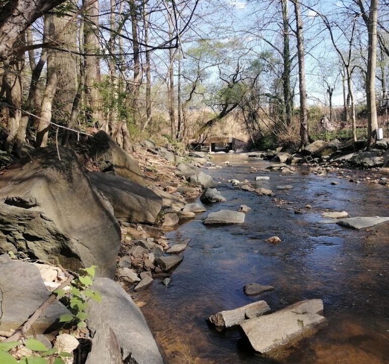 Soccer Field image 2