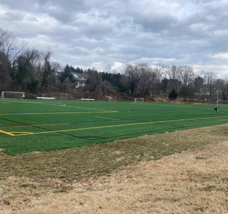 Soccer Field image 2