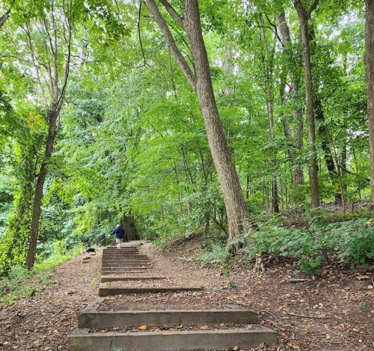 Soccer Field image 2