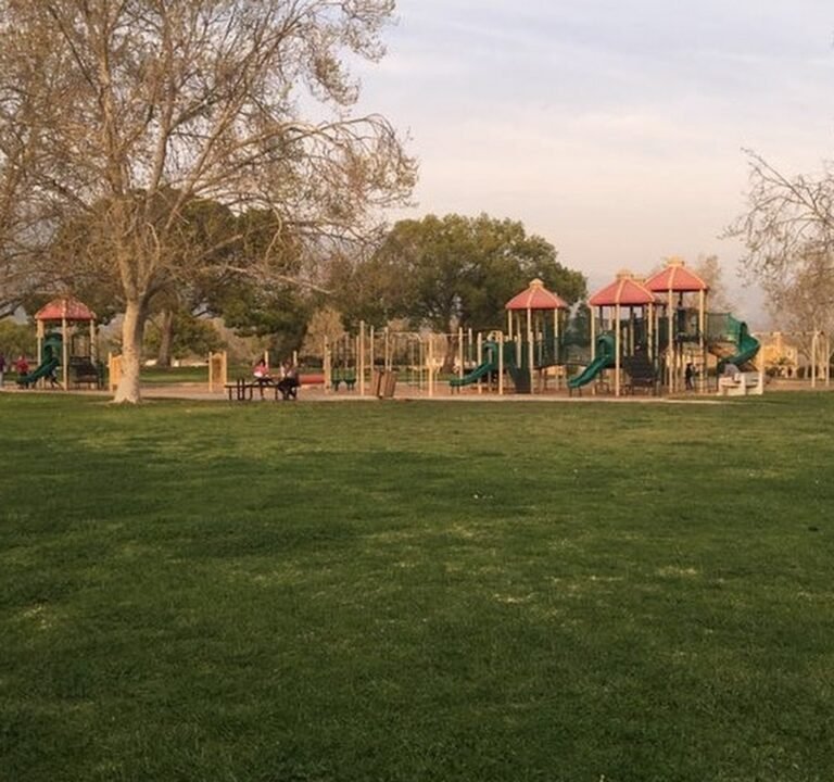 Soccer Field image 2