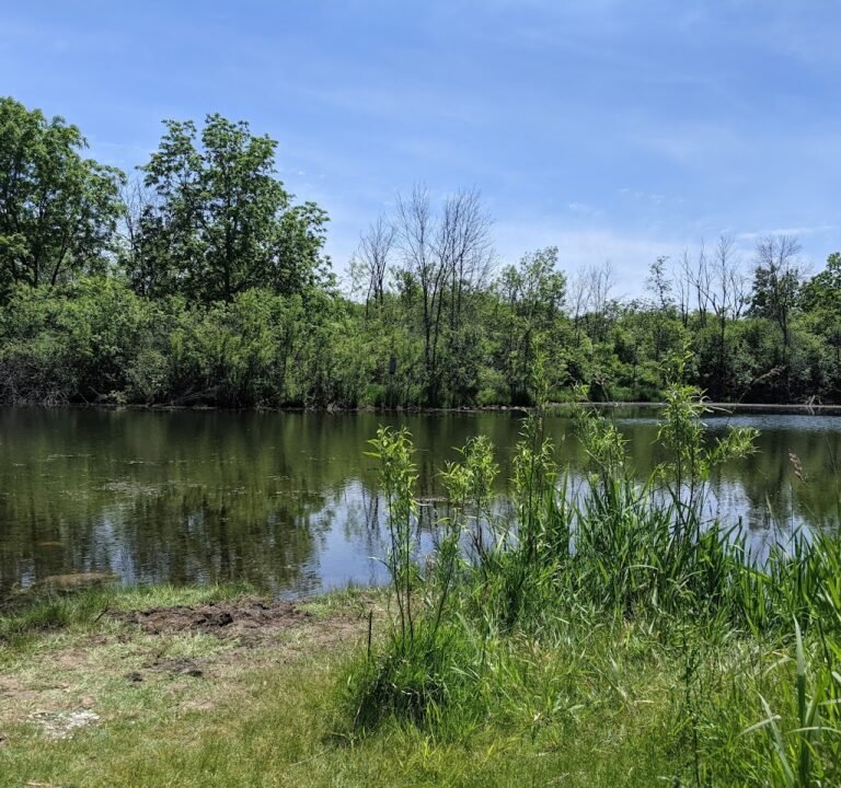 Soccer Field image 2