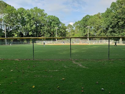 Soccer Field image 1