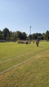 Soccer Field image 1