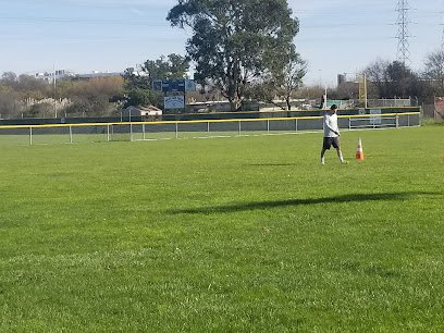 Soccer Field image 1