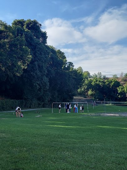 Soccer Field image 1