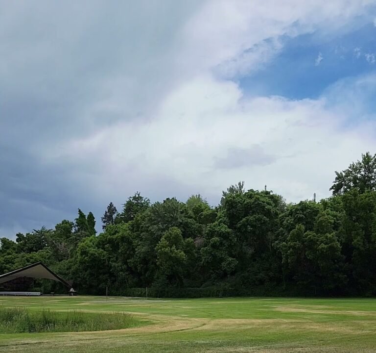 Soccer Field image 4