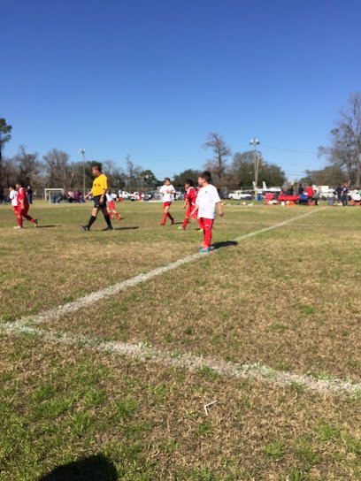 Soccer Field image 1