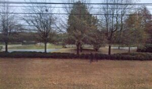 Soccer Field image 1
