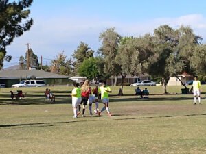 Soccer Field image 1