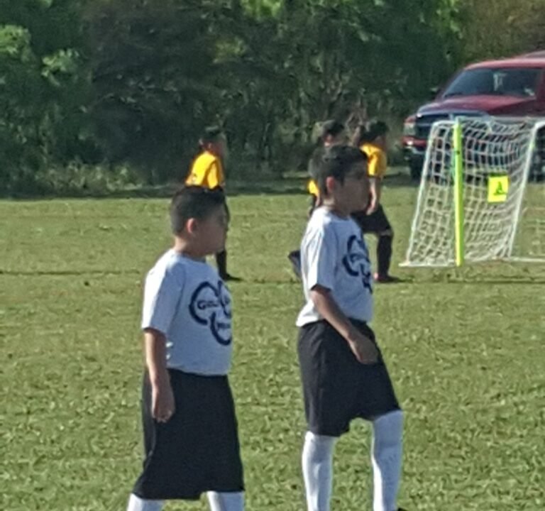 Soccer Field image 2