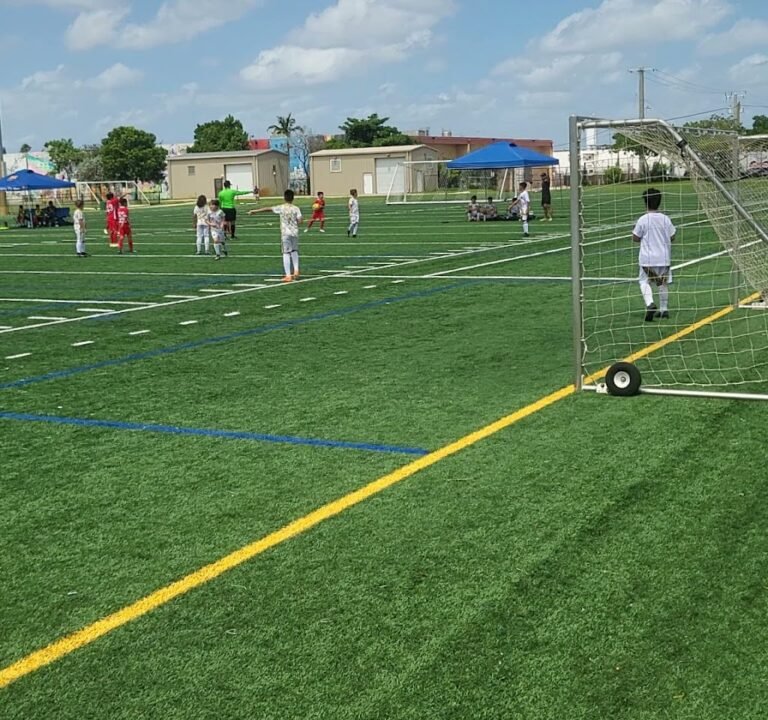 Soccer Field image 4