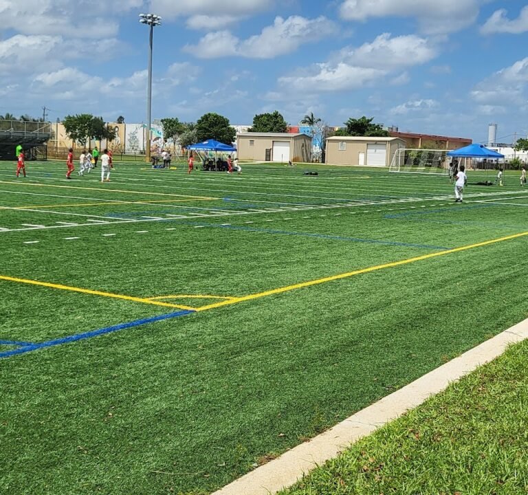 Soccer Field image 2